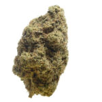 Amsterdam Genetics Choco Cheesecake feminisiert