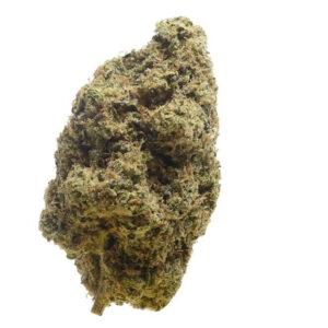 Amsterdam Genetics Choco Cheesecake feminisiert