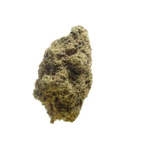 Amsterdam Genetics Choco Cheesecake feminisiert