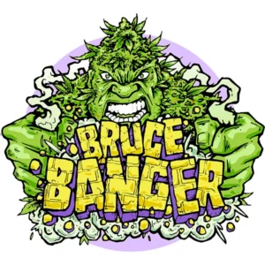 Seedsman Bruce Banger Fast feminisiert