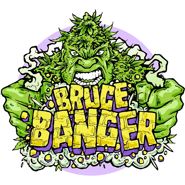 Seedsman Bruce Banger Fast feminisiert