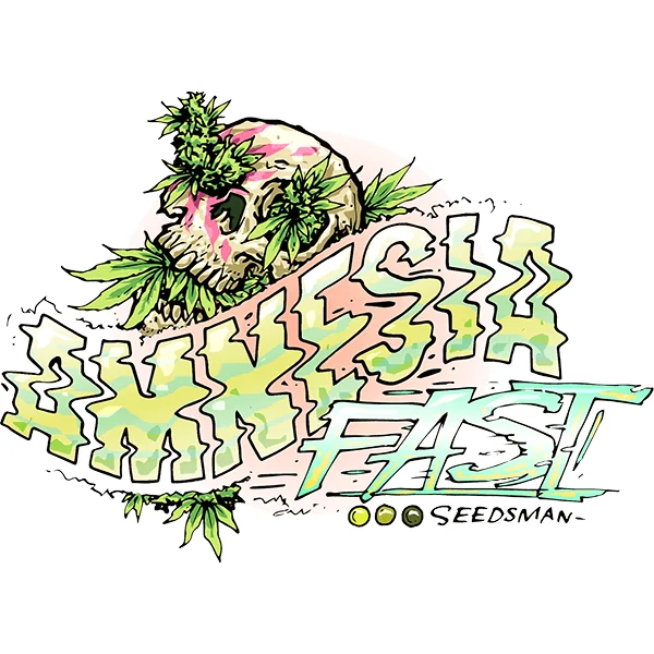 Seedsman Amnesia Fast feminisiert
