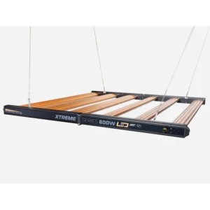 Dimlux Xtreme 800 W NIR MKII