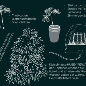 Hubey Bio Rooting Gel 70 ml
