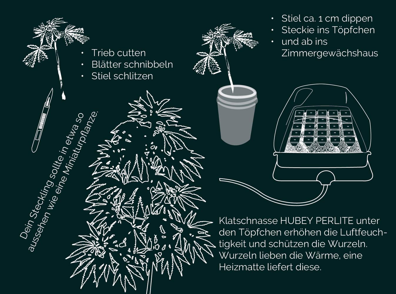Hubey Bio Rooting Gel 70 ml – Bild 2