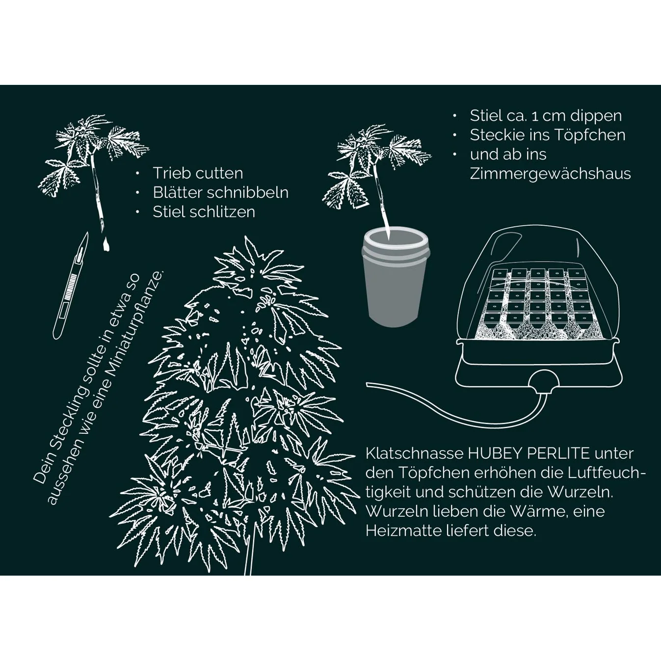 Hubey Bio Rooting Gel 70 ml