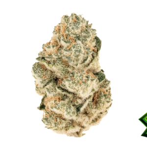 Fast Buds Gorilla Melon Hanfsamen