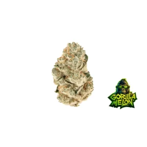 Fast Buds Gorilla Melon Hanfsamen