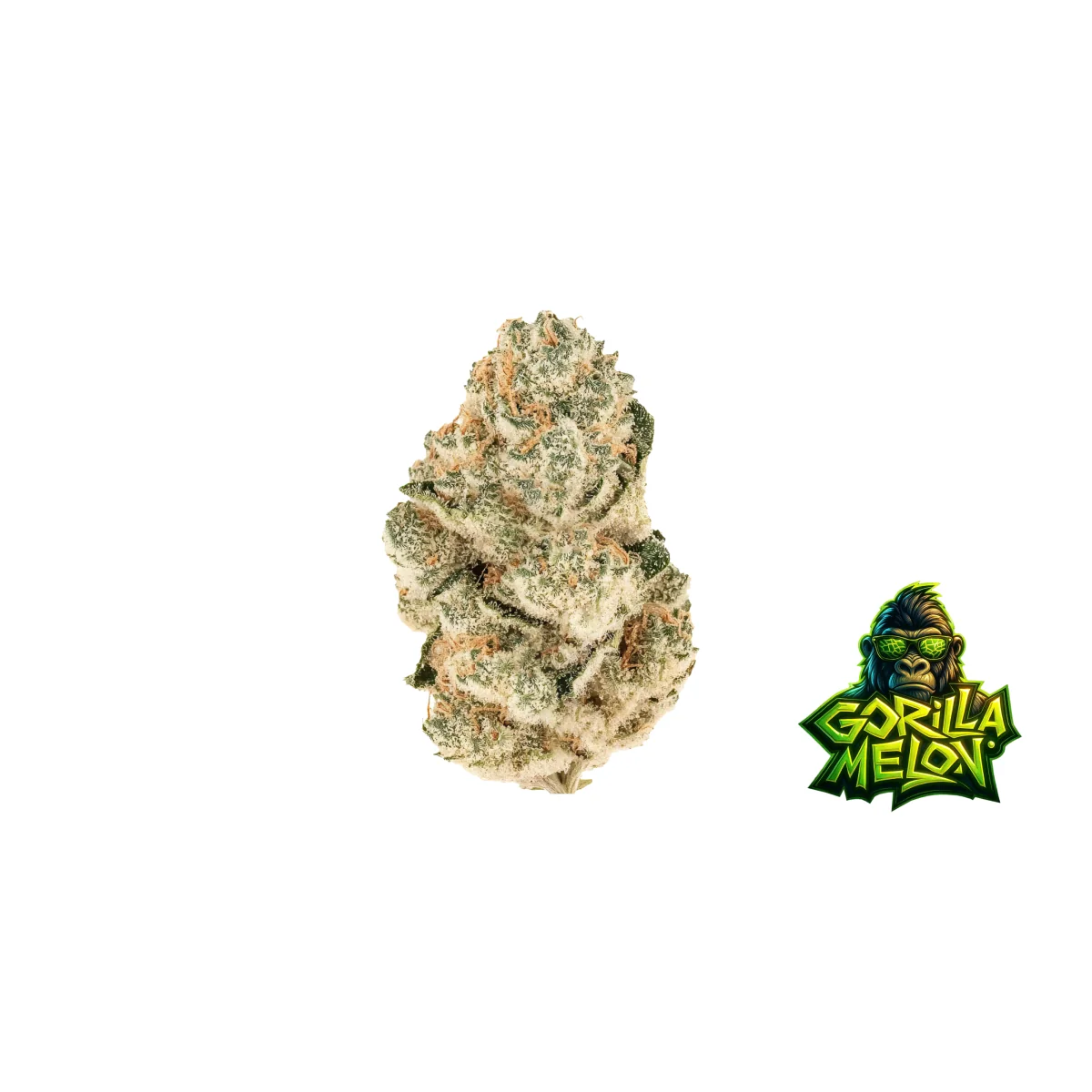 Fast Buds Gorilla Melon Hanfsamen