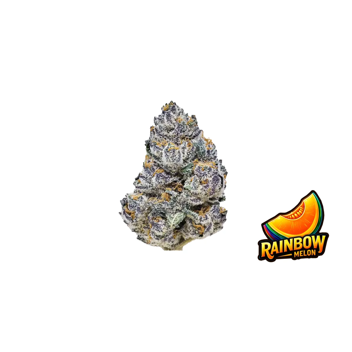 Fast Buds Rainbow Melon Hanfsamen
