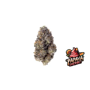 Fast Buds Papaya Sherbet Hanfsamen