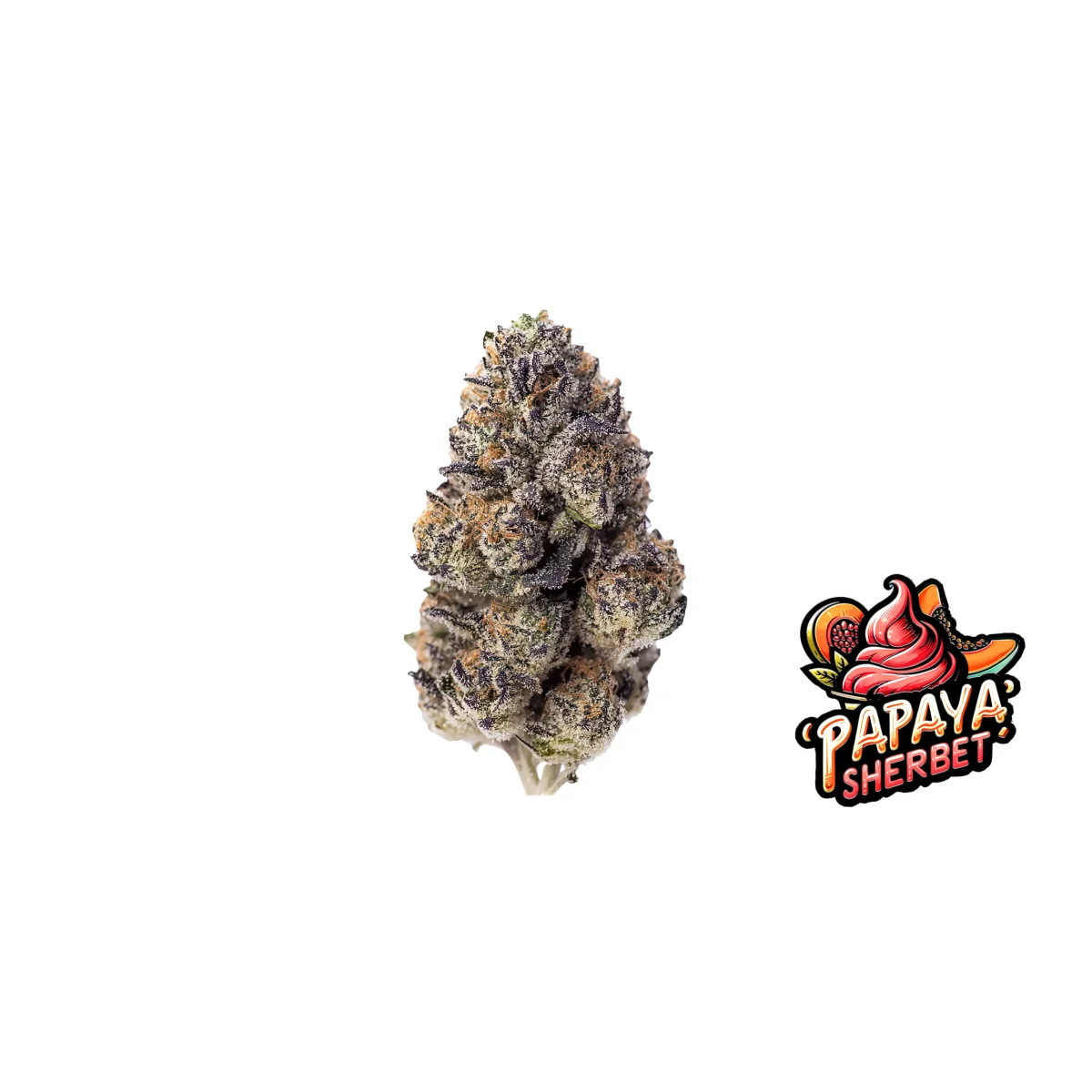 Fast Buds Papaya Sherbet Hanfsamen