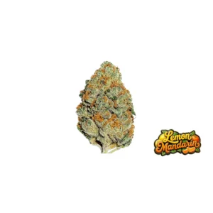 Fast Buds Lemon Mandarin Hanfsamen