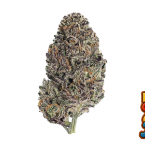 Fast Buds Lemon Cherry Runtz Hanfsamen