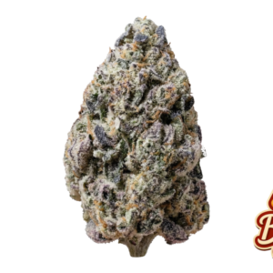 Fast Buds Biscotti Gelato Hanfsamen