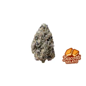 Fast Buds Biscotti Gelato Hanfsamen