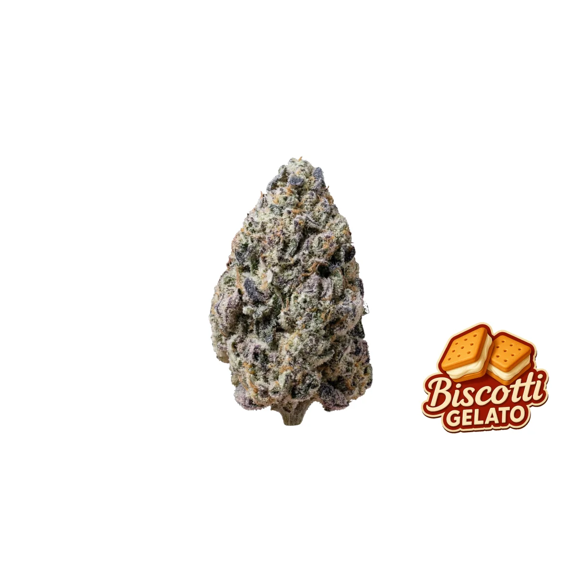 Fast Buds Biscotti Gelato Hanfsamen