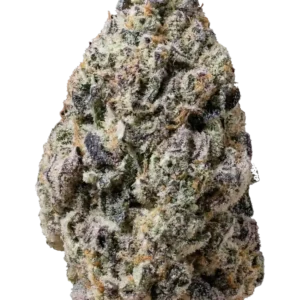 Fast Buds Biscotti Gelato Hanfsamen