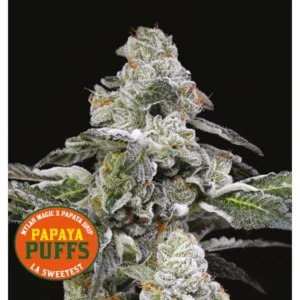 Papaya Puffs