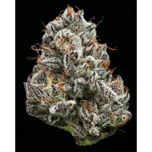 Barneys Farm Black Cherry Gushers 3er Pack