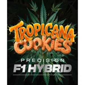 Barneys Farm Tropicana Cookies Auto 3er Packung