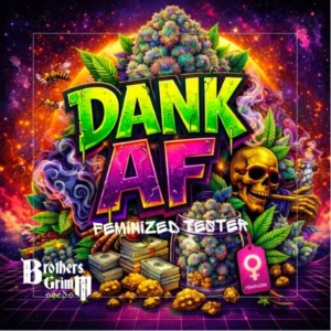 Brothers Grimm Seeds Dank AF feminisiert – 9 Samen