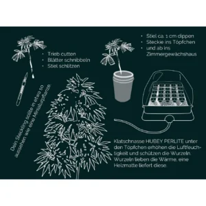 Hubey Bio Rooting Gel 30 ml