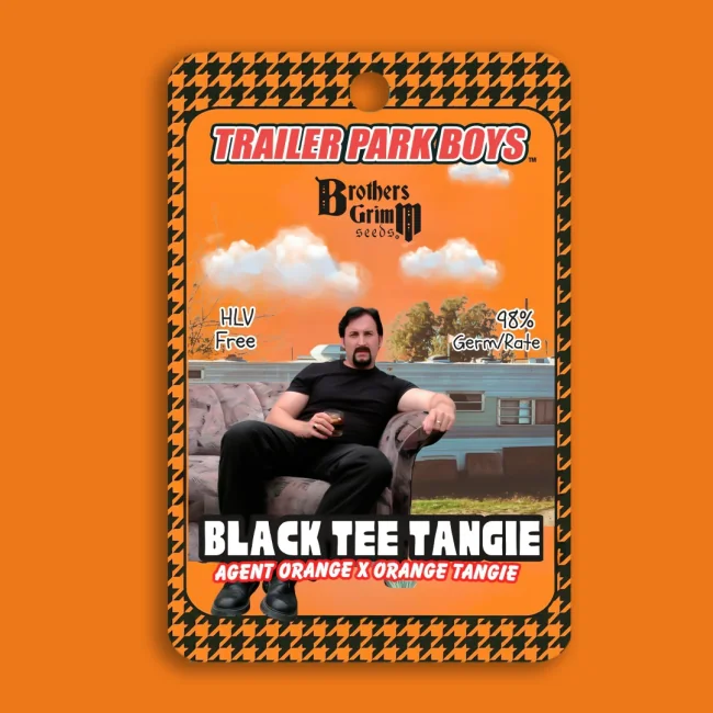 Brothers Grimm Seeds Julian's Black Tee Tangie feminisiert – 9 Samen (Trailer Park Boys Collab)