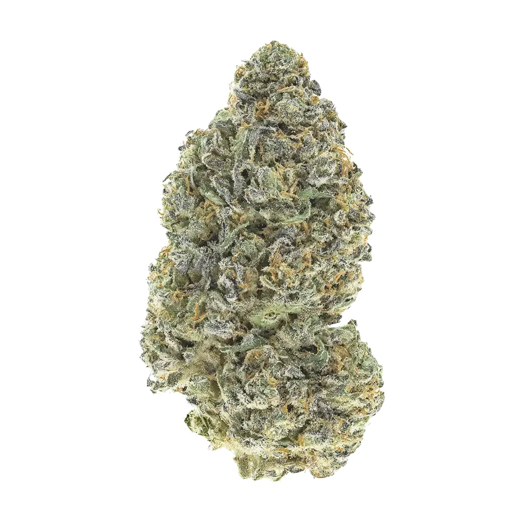 Fast Buds Garlic Mint Sherbet Hanfsamen