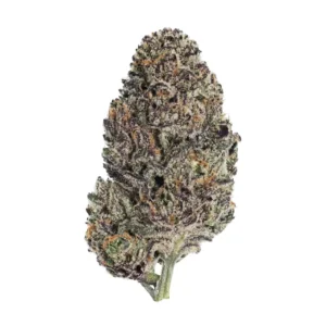 Fast Buds Lemon Cherry Runtz Hanfsamen