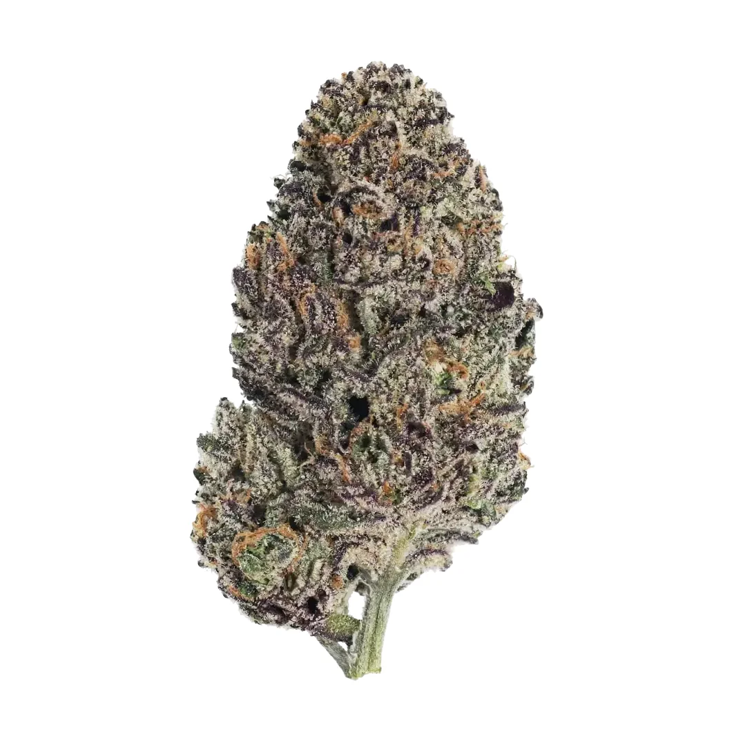 Fast Buds Lemon Cherry Runtz Hanfsamen