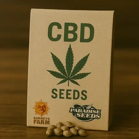 CBD Samen