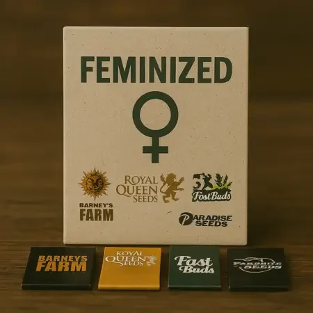 Feminisierte Cannabis Samen