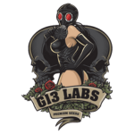 G13 Labs Logo