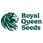 royal queen seeds